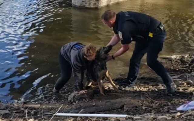 Dog Saved by Fort Dodge Police and Webster County Animal Protection After Jumping Off Bridge into the River