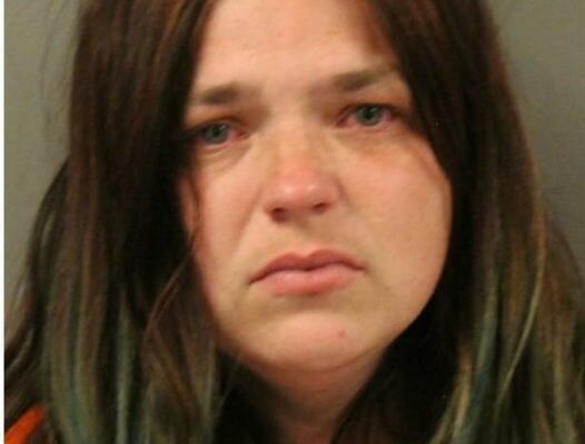 Webster County Mother Charged with Multiple Counts of Child Endangerment