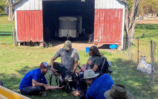 Local Animal Rescue Lazy J Rescue Ranch Featured on TV’s Wizard of Paws